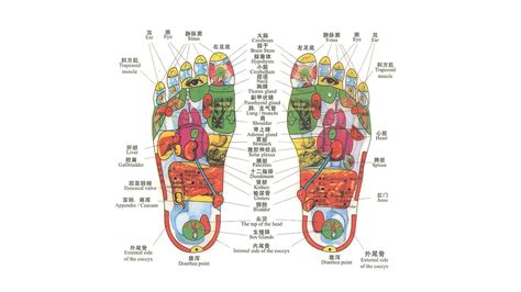 Specializing in Chinese Foot Reflex, .